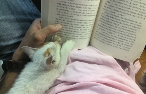 n}оڈ挑ʲô