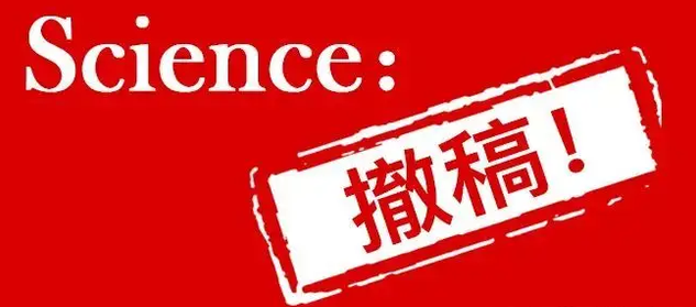 sci匦Ӱ푆