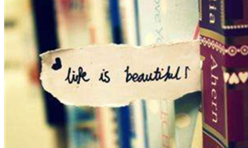 ӢŽW(xu)****ZĻ̲(bo)ڶ