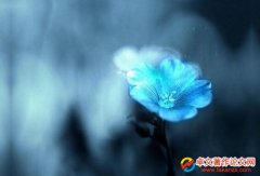 <b>СW(xu)u(png)߼(j)̎Щгɹ</b>