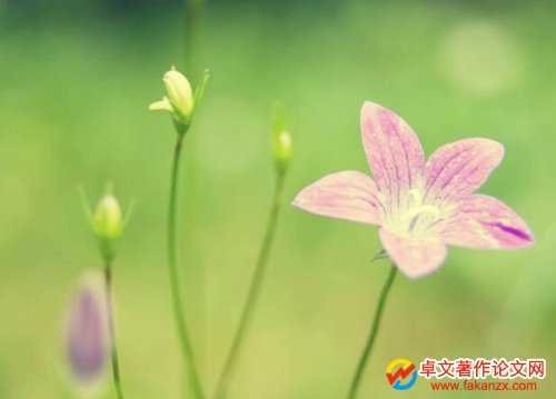 @n}оЩ