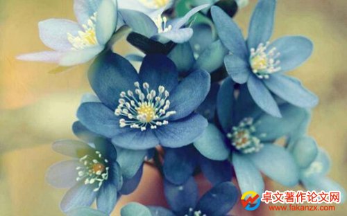 Mn}OӋՓC
