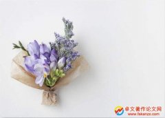 СWӢZWgX