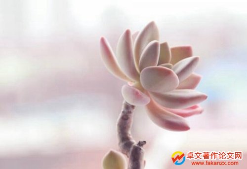 WώٍX