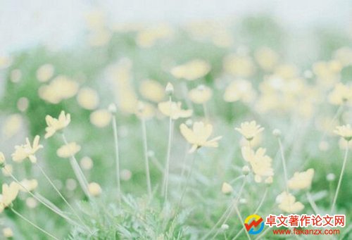 Cʡn}ڎ·(bo)