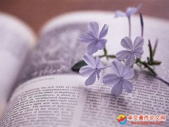 <b>԰ԼՓĮ(dng)(zhun)</b>