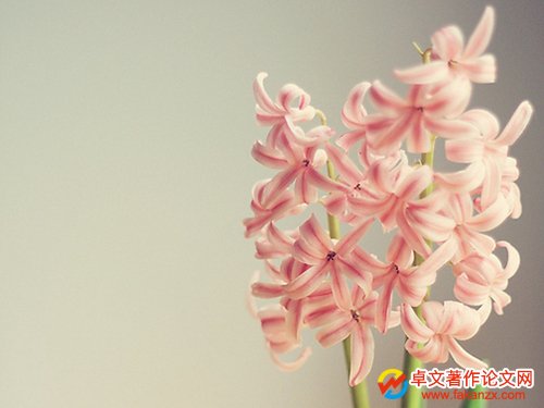 ԻIn}ccn}ą^e