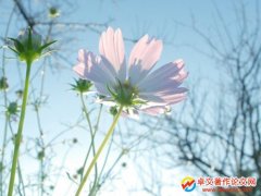 (zhun)ܲp