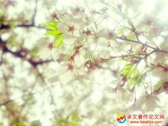 ʲô(zhun)u(png)Q(chng)ӷָ
