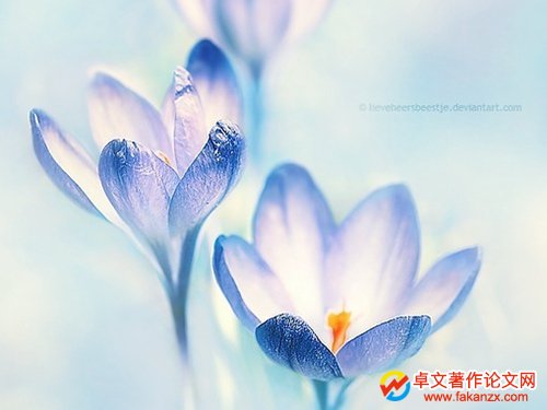 ԇ}Wg