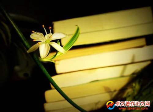 ^˵ĳЩ