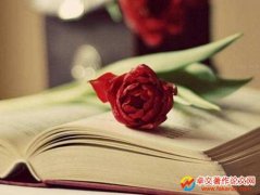 cڿ^(q)eʲô