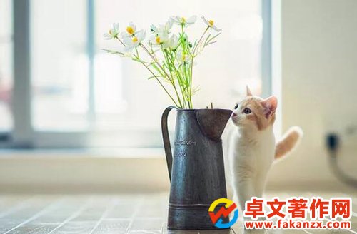 ̲漰֙