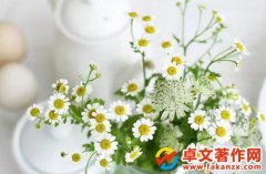 <b>n}оӽ綨</b>