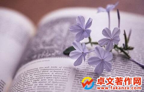 外觀設計專利年費標準書什么