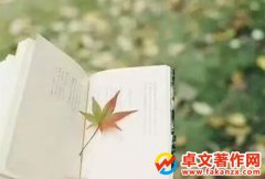 ǲǶD(zhun)׌
