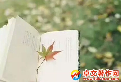 턓(chung)µn}}ĿЩ