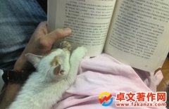 缉eԲԃ